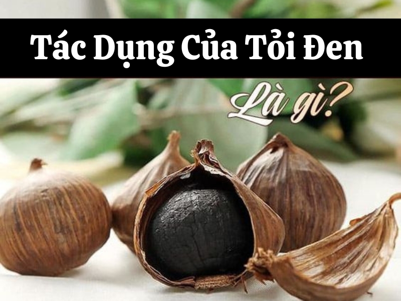 Tỏi đen có tác dụng gì